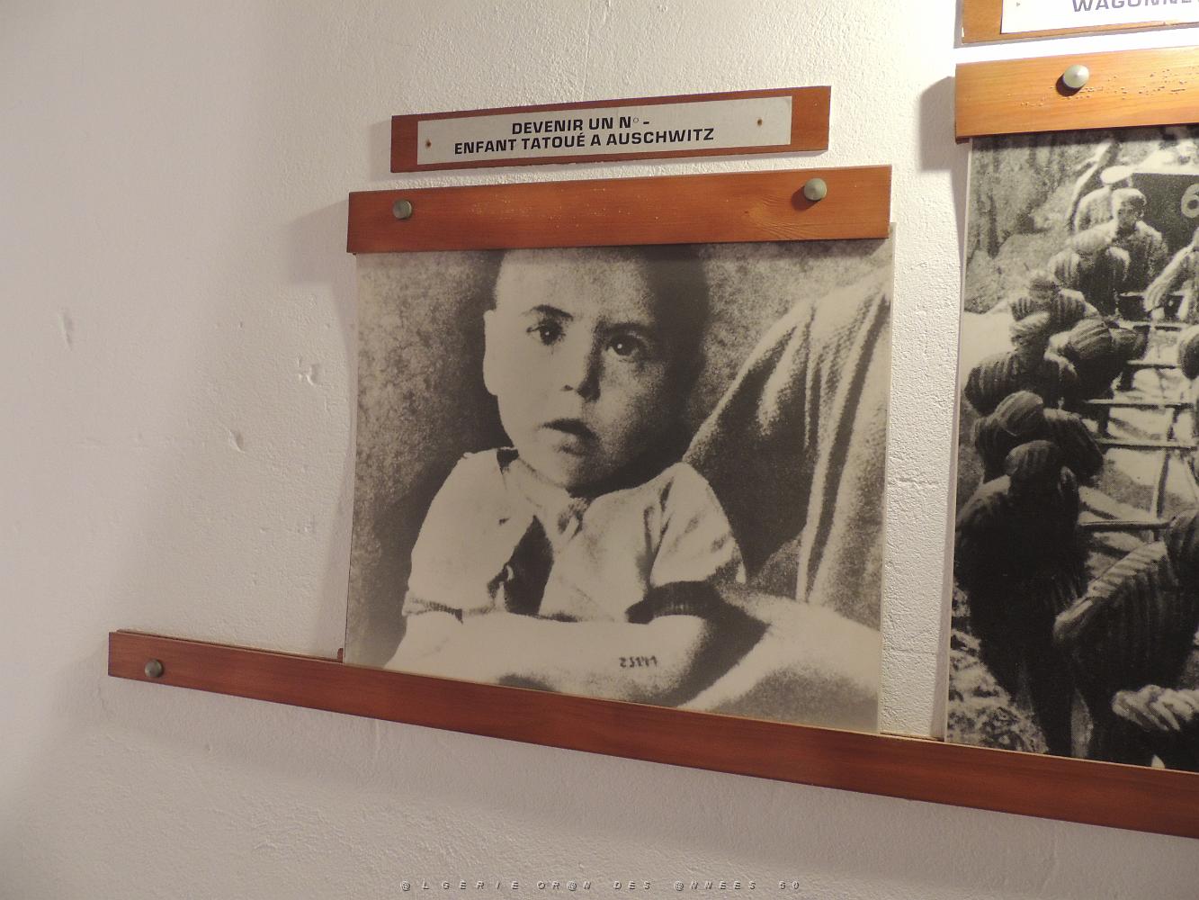 2019 04 28 TOULON HOMMAGE AUX VICTIMES DE LA DEPORTATION (51).JPG -           